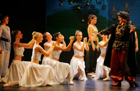 Phönix – Feuervogel 2008, Bild 5