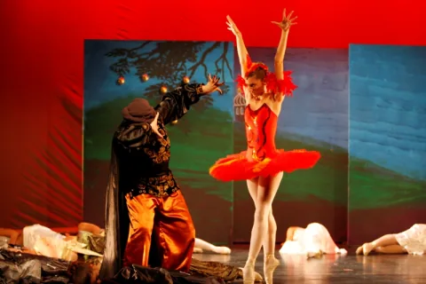 Phönix – Feuervogel 2008, Bild 6